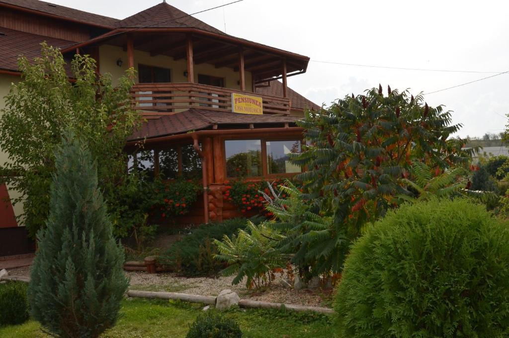 Hotel Casa Moteasca Mihai Viteazu  Exterior foto